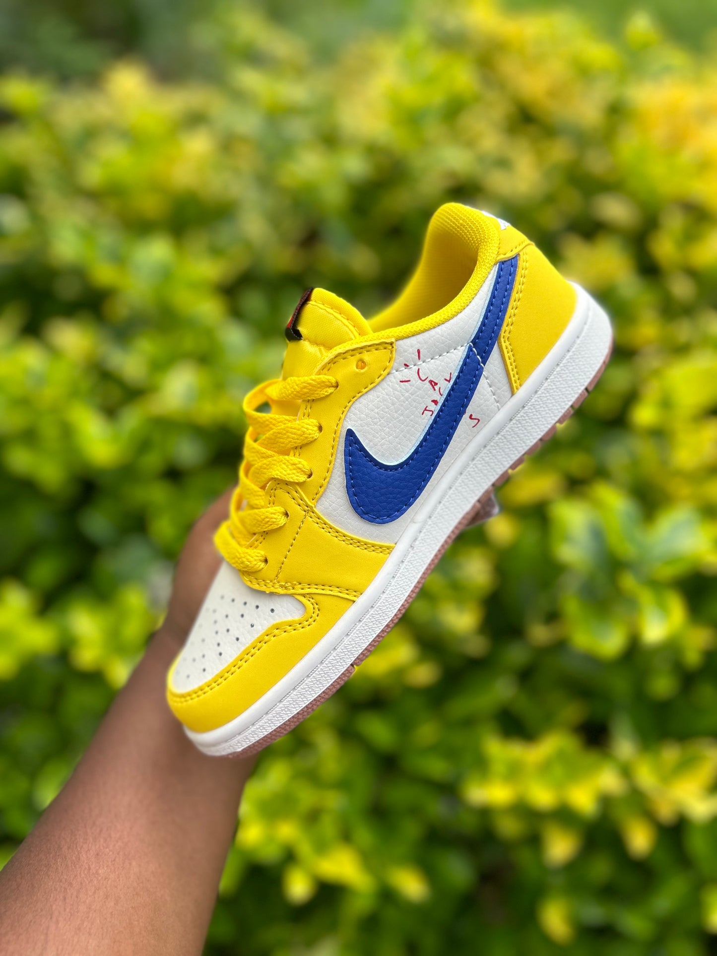 Canary TS AJ1s